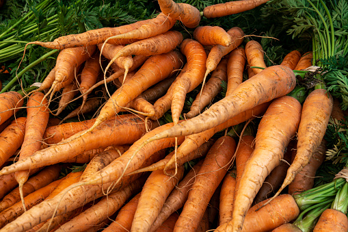 Close-up of fresh organic carrots displayed at an outdoor farmer's market.\n\nTaken in Santa Cruz, California, USA.