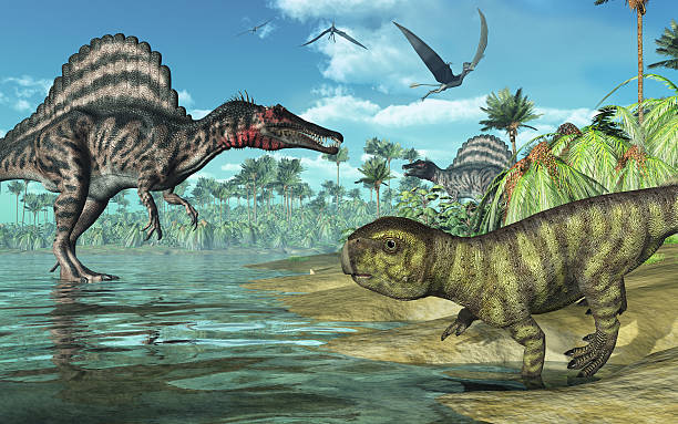 Prehistoric scene with Spinosaurus and Psittacosaurus Dinosaurs 2 A tropical prehistoric scene with several dinosaurs, including two spinosauruses, a psittacosaurus in the foreground, and three dorygnathuses in flight. 3D render spinosaurus stock pictures, royalty-free photos & images
