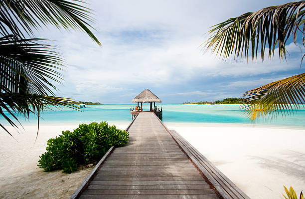 istock Welcome cabin in the Tropics 146804186