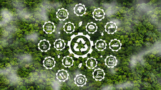 istock Zero waste,net zero concept. Carbon neutral. Climate neutral long term strategy. Sustainable business development. Reuse Reduce Recycle symbol.Conscious consumption. Waste management. Earth day banner 1468043548
