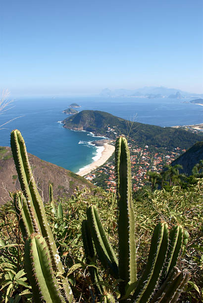 istock Itacoatiara beach view of the Mourao Mountain top 146804678