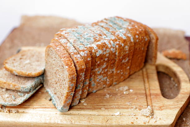 Moldy loaf of bread Moldy loaf of bread, dirt, germs, mildew and mess mildew stock pictures, royalty-free photos & images