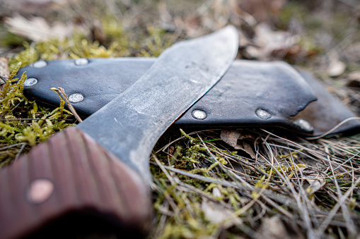 a knife in nature resting on a leather case