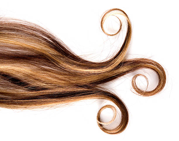istock Brunette with long hair and curls at the base 146805133