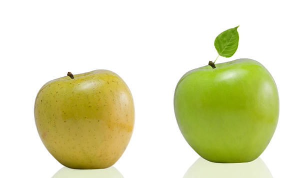 istock Fresh new and old apple on white background 146805177