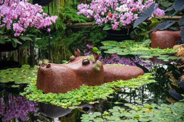 Hippo at Kew Gardens Orchid Festival Hippo at Kew Gardens Orchid Festival kew gardens stock pictures, royalty-free photos & images