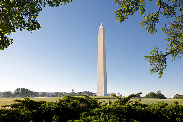 istock Washington Monument Against Clear Blue Sky 146805374