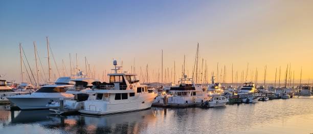 A small marina near Seattle, Washington shows a line of private pleasure boats of all types tied up to a dock.  The image shows larger yachts and sailboats to smaller motor boats and dinghies. Dozens of sailing masts can be seen poking up across the entire frame with low lying hills in shades of gray in the background.  The season is late summer.  The water is calm and dusk is visible in the sky showing deepening blues in the  upper left corner of the frame and a swath of rich colored orange and yellow on the horizon as the sun sets.  The scene is one of quiet and calm befitting for the end of the day.