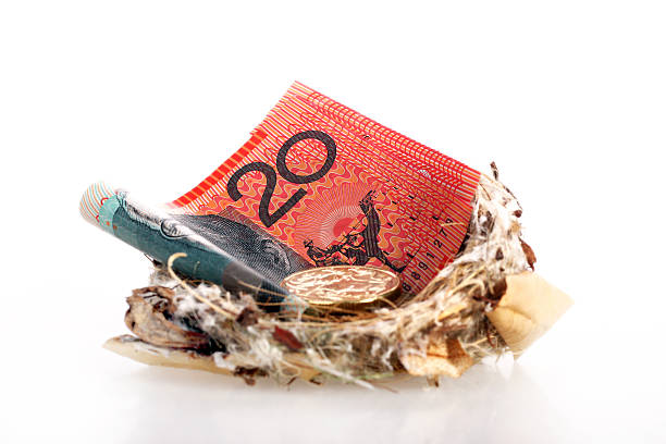 Money in nest Money in nest, notes and coins golden nest egg taxes stock pictures, royalty-free photos & images