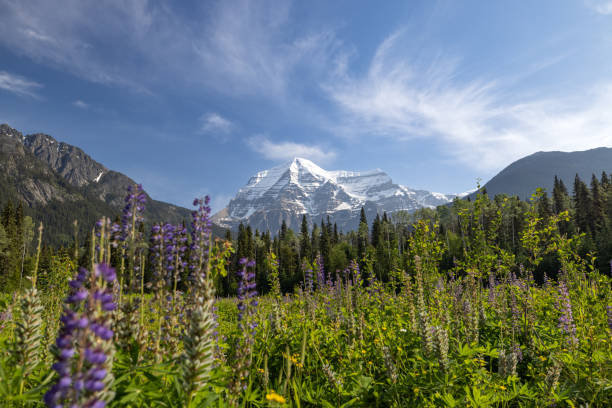 istock Mount Robson Mountain Summit in Summer, British Columbia, Canada 1468068954