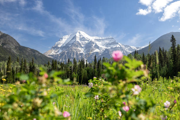 istock Mount Robson Mountain Summit in Summer, British Columbia, Canada 1468069073