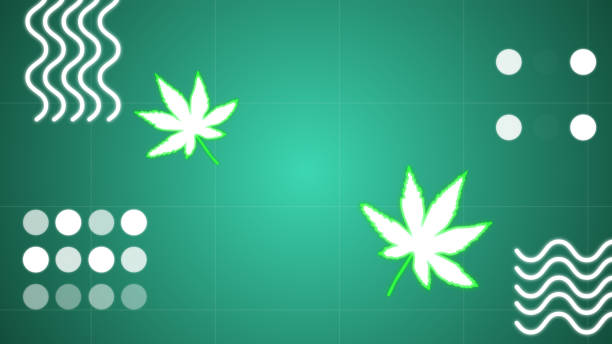 istock Simple leaf and flower funky background in 4K 60fps. Retro style background. 1468069637