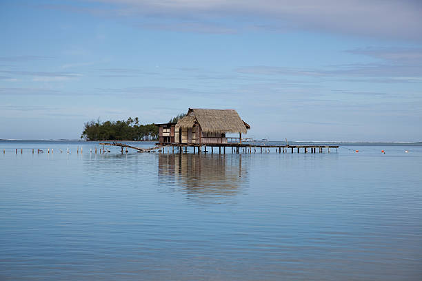 istock Polynesian Fishing Hut 146807084