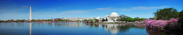 panorama von washington, dc, mit kirschblüten - monumente stock-fotos und bilder