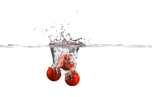 Cherry Tomatoes Falling into Water Splashing against white stock photo