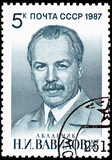 istock Canceled Soviet Russia Postage Stamp Botanist Nikolai Vavilov Portrait Man 146807476