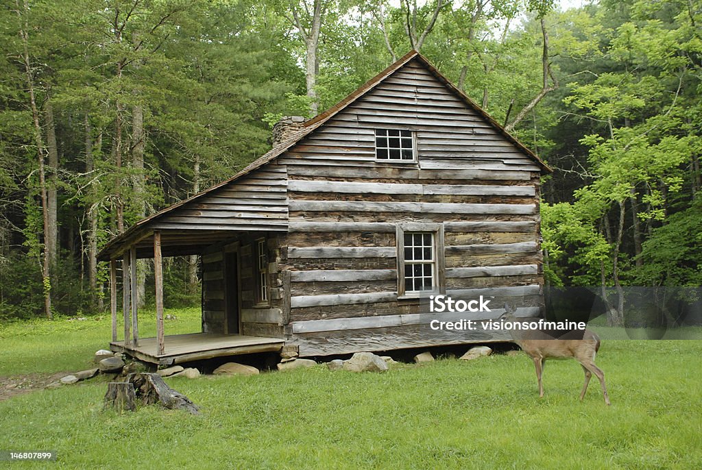 Doe se dresse à côté de log cabin à Cades Cove - Photo de Famille du cerf libre de droits