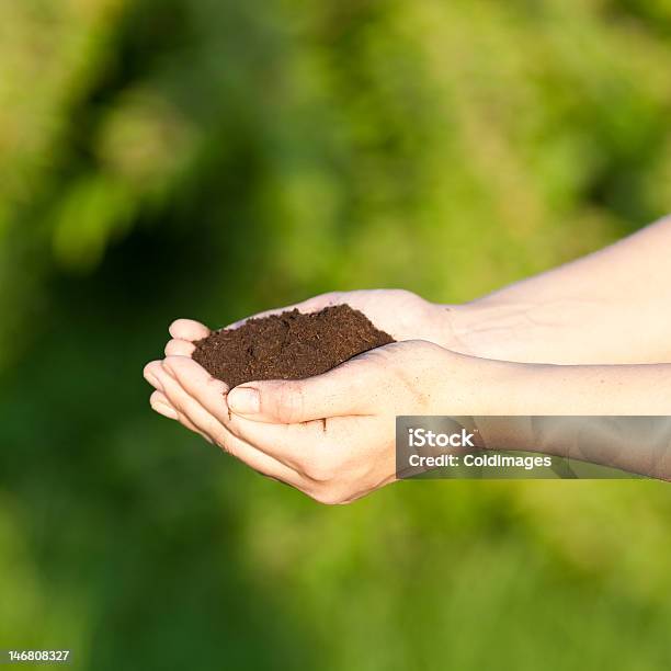 Foto de Segurando O Solo e mais fotos de stock de Fotografia - Imagem - Fotografia - Imagem, Meio ambiente, Mão humana