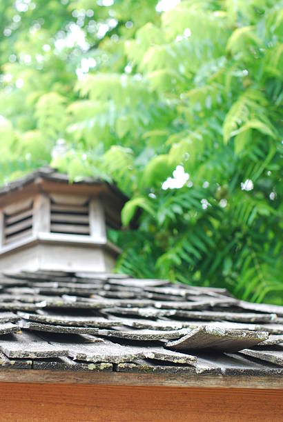istock Old Gazebo with Shake Roof Focus on Board End 146808382