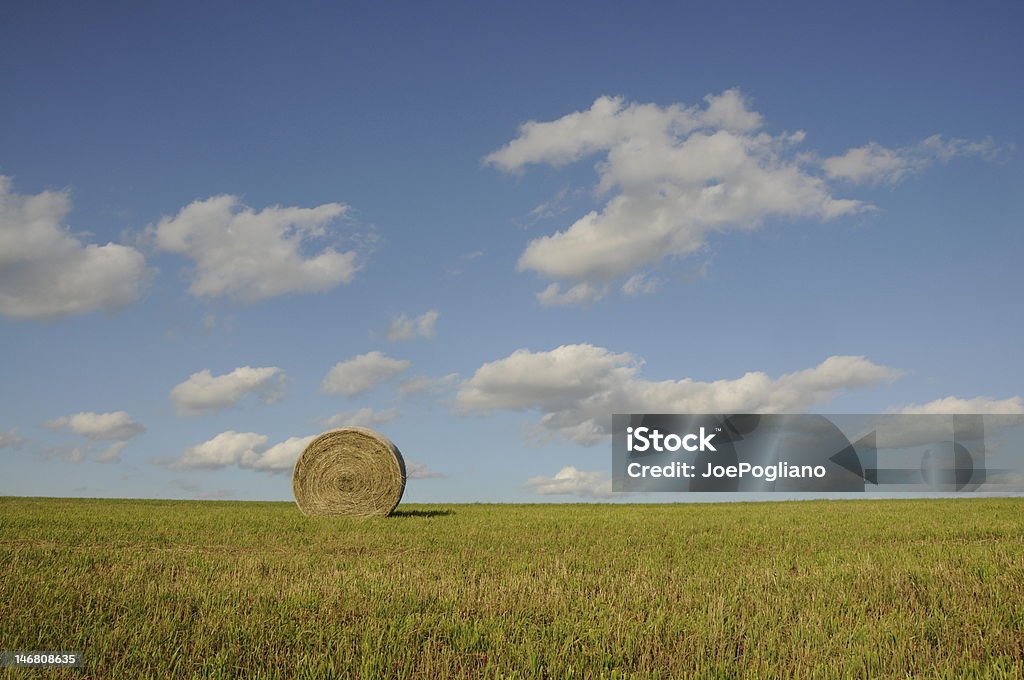 Fardo de feno em campo aberto com um céu azul - Foto de stock de Agricultura royalty-free