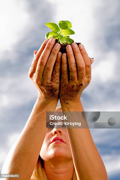 Beautiful Young Woman Holding Up Seedling Stock Photo - Download Image Now - Adult, Adults Only, Agriculture