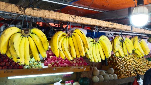 Good quality Indonesian local bananas.