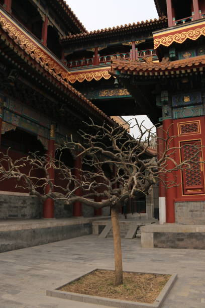 istock Chinese Qing dynasty palace, ancient temple 1468093059