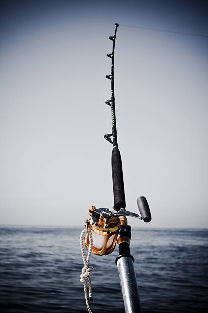 istock Big Game Fishing 146809326
