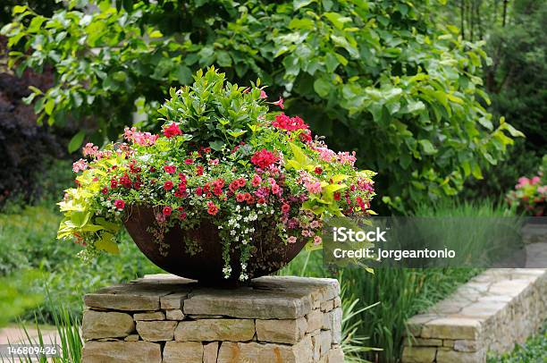 Flower Pot Stock Photo - Download Image Now - Potted Plant, Flower, Flower Pot