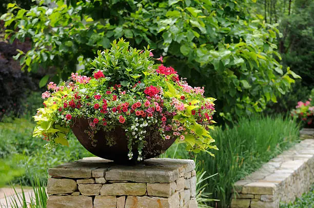 Beautiful flower pot framing house entrance. Calibrachoa, million bells, geranium, sweet potato vine in the planter 