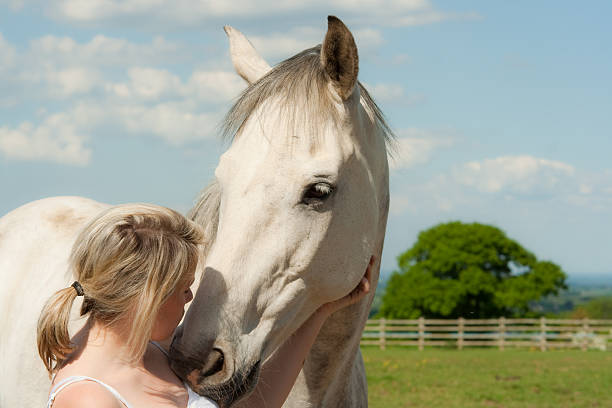 Pretty blond girl kisses nose of beautiful grey horse Close up of a pretty blond girl kissing the nose of a beautiful grey horse outdoors in rural england. dapple gray horse standing silver stock pictures, royalty-free photos & images