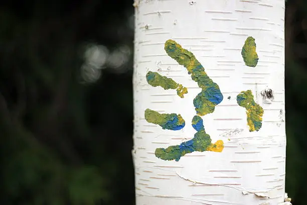 A found hand print on a tree in Cathedral Park in Portland, OR.