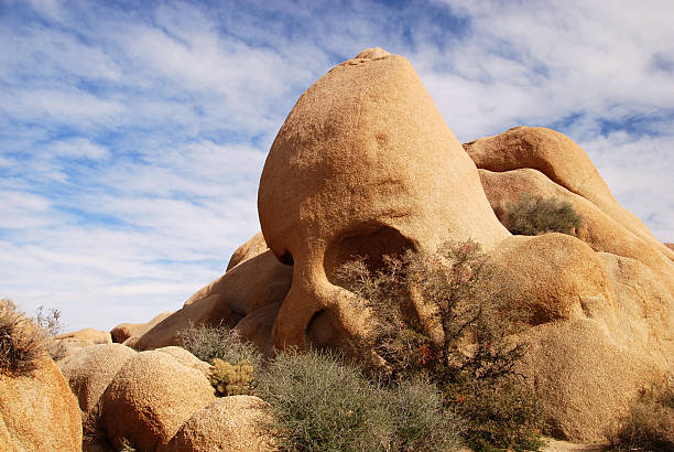 totenkopf-rock - bighorn sheep sheep desert mojave desert stock-fotos und bilder