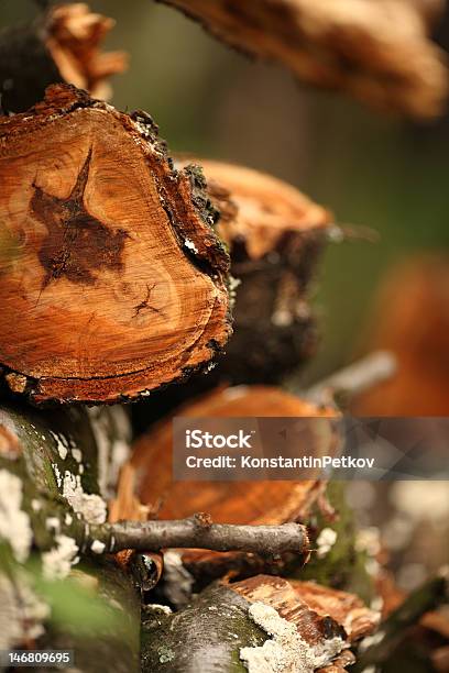 Woodpile Stock Photo - Download Image Now - Backgrounds, Defocused, Firewood