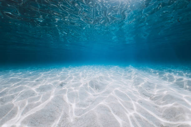 istock Transparent ocean with sand bottom and sun light underwater in Florida. Sea background 1468098283