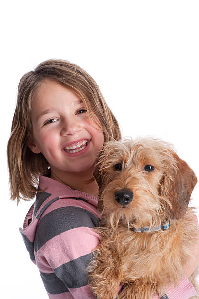istock Happy little girl with her pet dog 146809882
