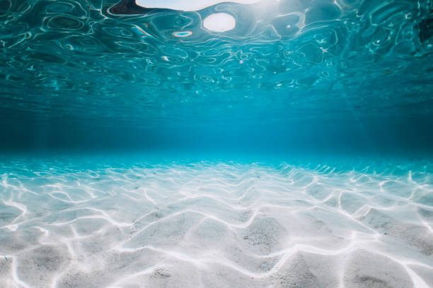 istock Turquoise ocean with white sand underwater in Florida. Ocean background 1468099180