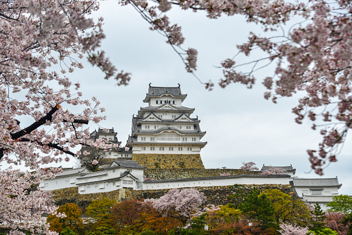 Himeji, Japan - Apr 10, 2019. Ancient Himeji Castle (Japan) with cherry blossom at spring time.