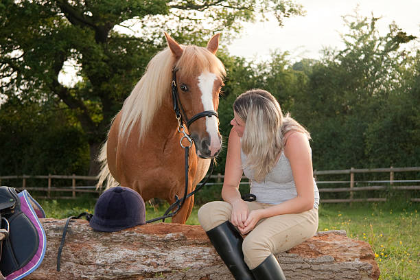 istock Young woman and her pony relax together. 146810080