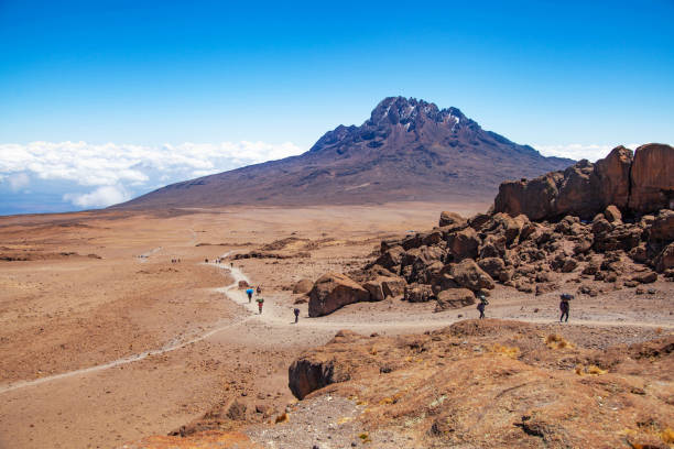 une vue du pic mawenzi depuis le camp de base du mont kilimandjaro, en tanzanie - uhuru peak photos et images de collection