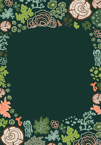 Green forest mosses, lichen frame. Wooden plants, stump botanical nature card, border isolated element. Hand drawn green nature, cute organic woodland design. Vector garden botanical illustration.