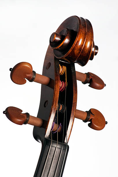 violine viola scroll, isoliert auf weiss - concertmaster stock-fotos und bilder