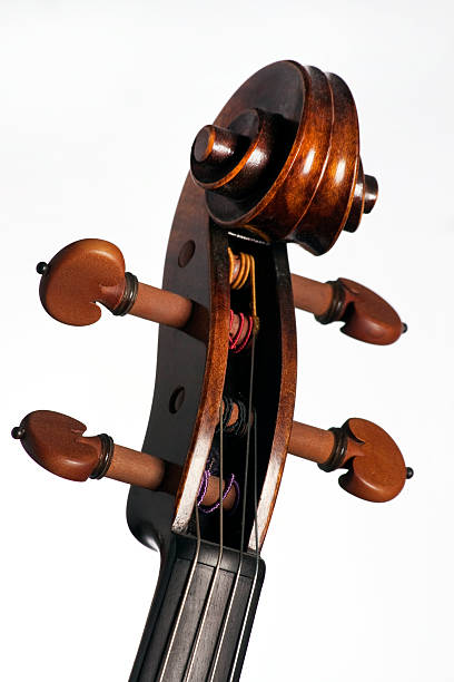 violino viola percorrer isolado a branco - concertmaster imagens e fotografias de stock