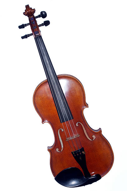 violino isolado no branco completo - concertmaster imagens e fotografias de stock