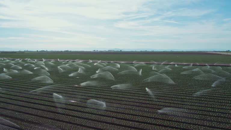 Crops Being Watered in South Eastern California During Drought Conditions