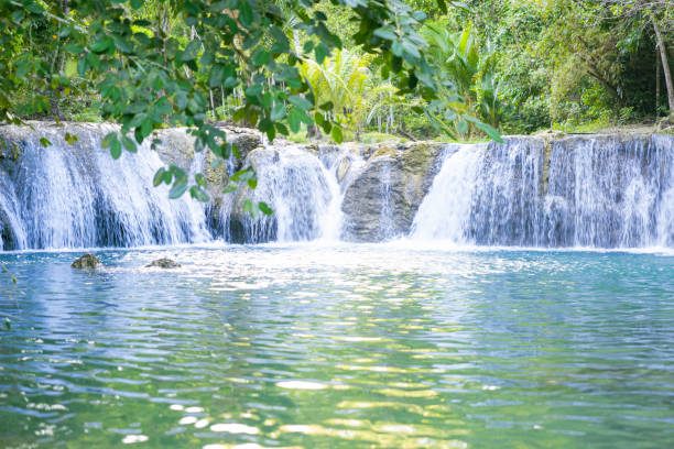Panorama shot of Cambugahay Falls in Siquijor Island, Philippines Cambugahay Falls in Siquijor is a picturesque and popular natural attraction featuring multiple tiers of cascading turquoise-colored waterfalls, surrounded by lush greenery and accessed by a bamboo bridge. siquijor island stock pictures, royalty-free photos & images