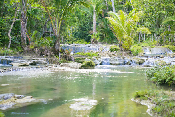 the calm  and clear waters of Cambugahay falls in Siquijor Island, Philippines According to local folklore, Cambugahay Falls is home to enchanted creatures such as fairies and mermaids. siquijor island stock pictures, royalty-free photos & images