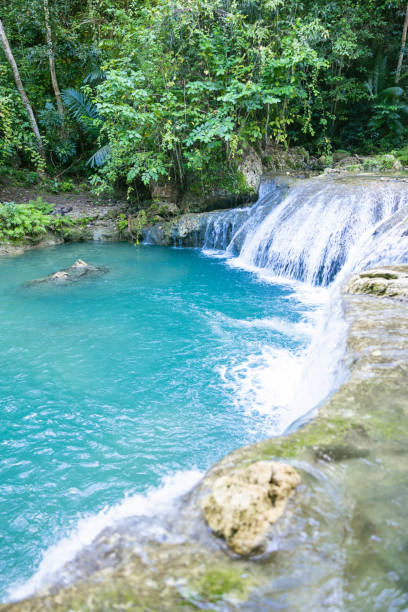 The turquiose blue waters of the Cambugahay Falls in Siquijor Island, Philippines The water in Cambugahay Falls is known for its turquoise blue color, which is caused by the reflection of the sun on the limestone rocks and the surrounding greenery. siquijor island stock pictures, royalty-free photos & images