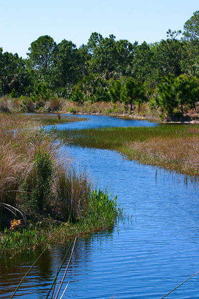 Water path in Florida Lake stock photo