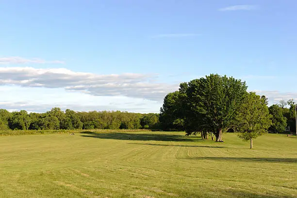 Park view in Princeton Battlefield State Park.